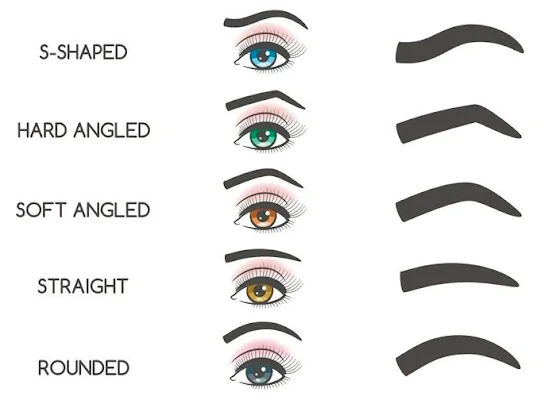 Eyebrow Shapes